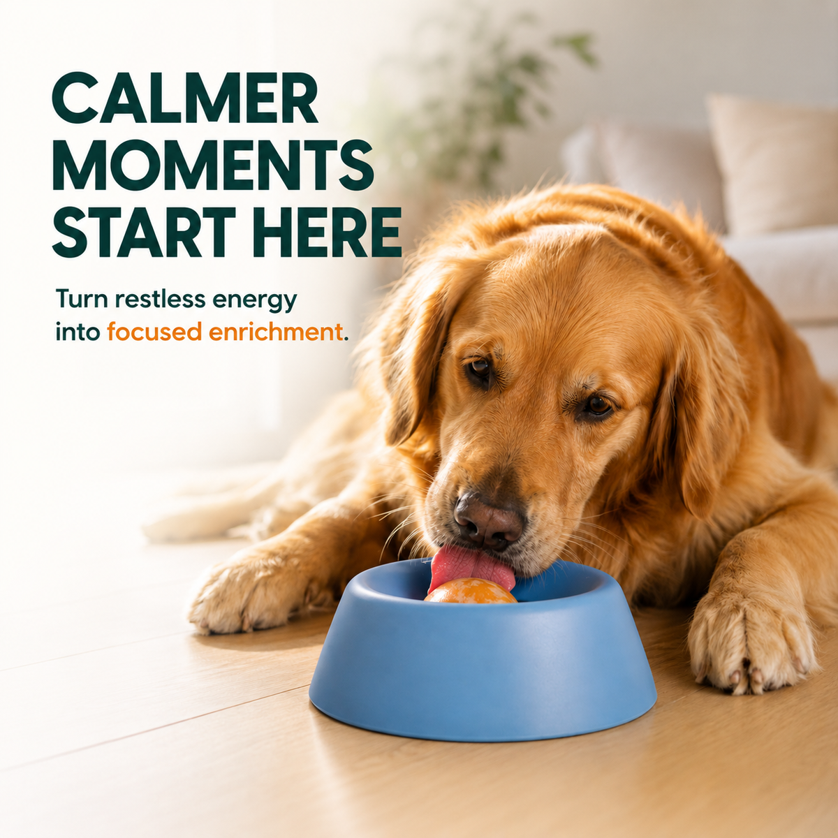 Calmer moments start here enrichment bowl benefit