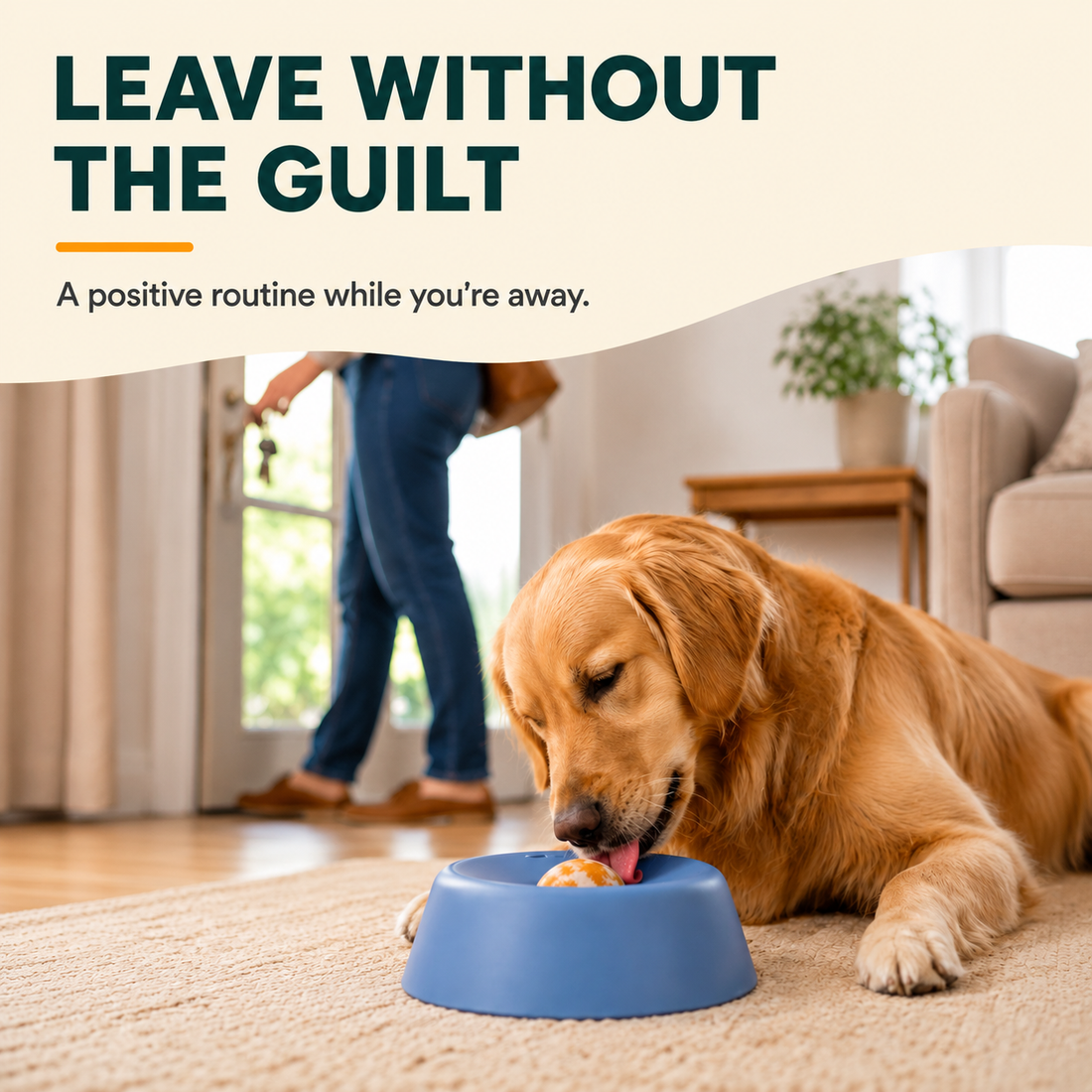 A dog enjoying a calm enrichment routine