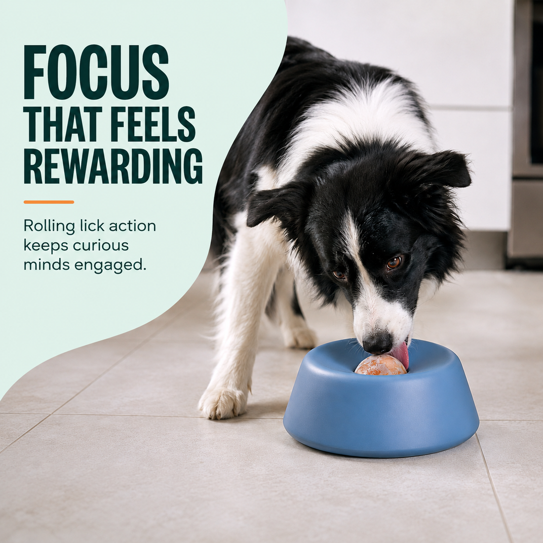 Dog focused on the Enrichment Bowl