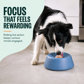 Focus that feels rewarding rolling lick action